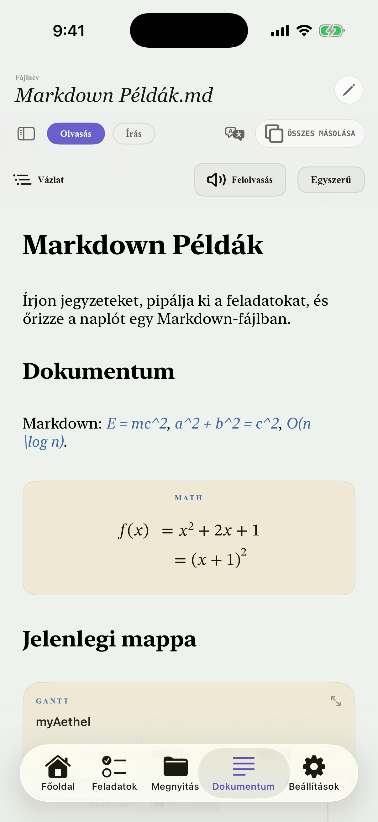 Magyar iPhone editor