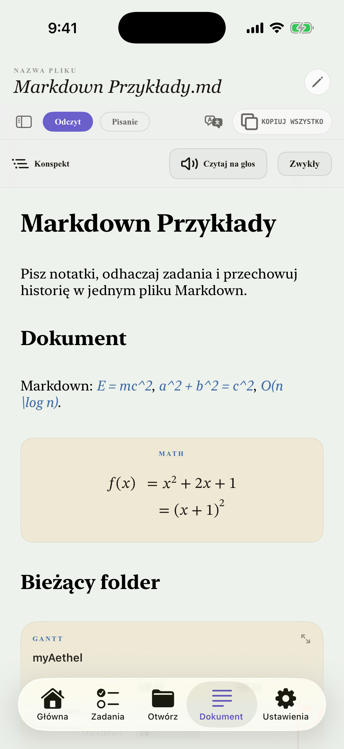 Polski iPhone editor