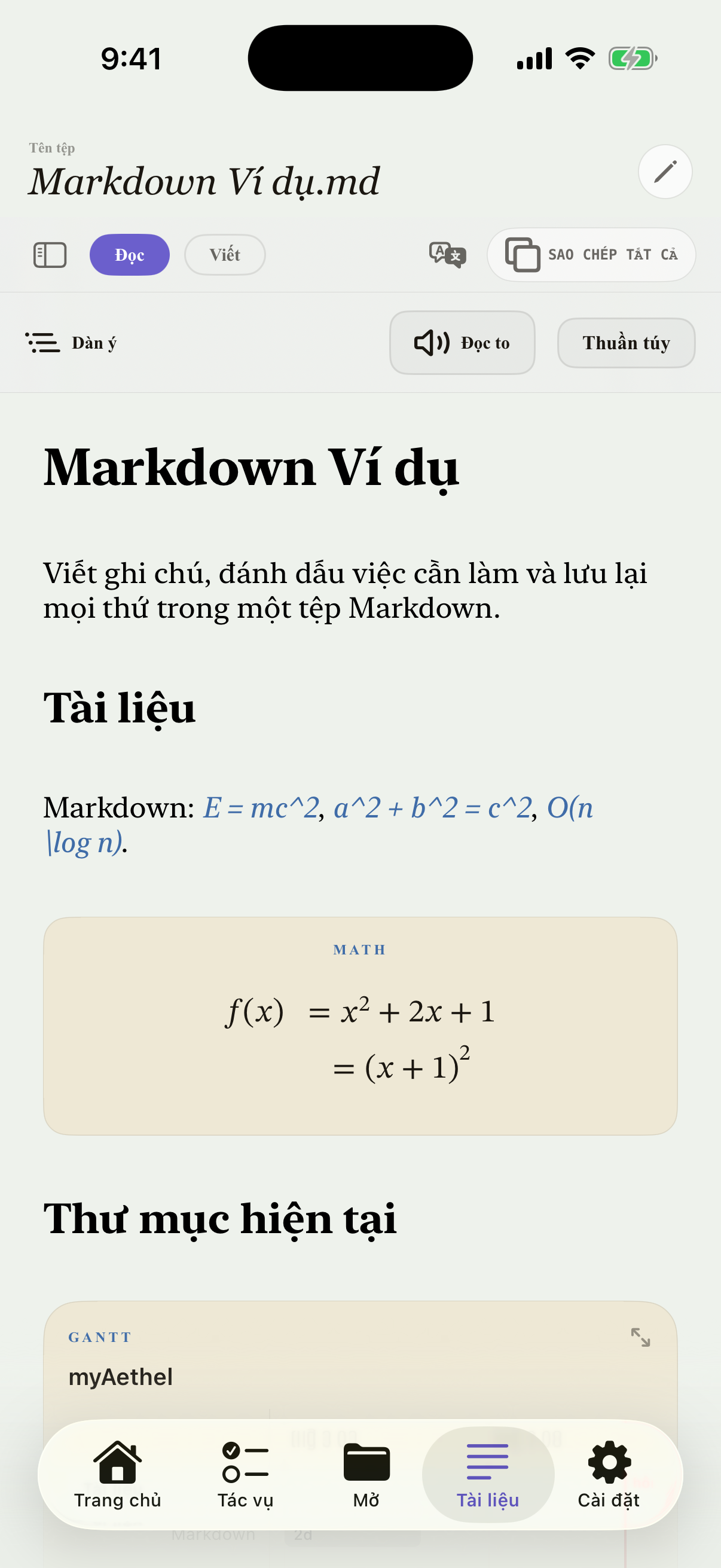 Tiếng Việt iPhone editor